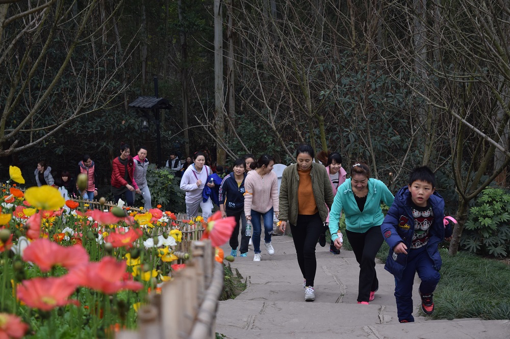 emc易倍·(中国)体育官方网站-EMC SPORTS